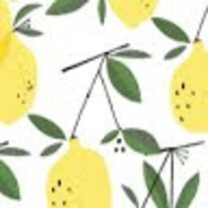 Meet your Posher, Sofia